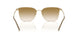 337713 - Gold - Clear Gradient Light Brown