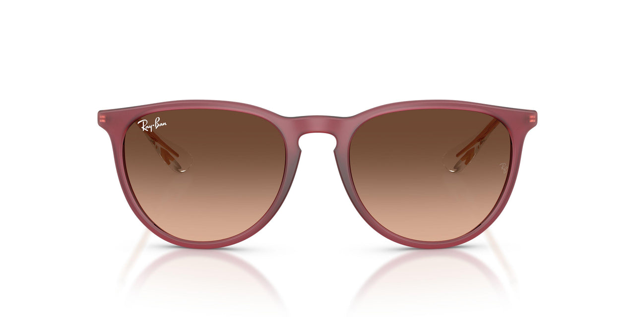 6815A5 - Violet - Pink Gradient Brown