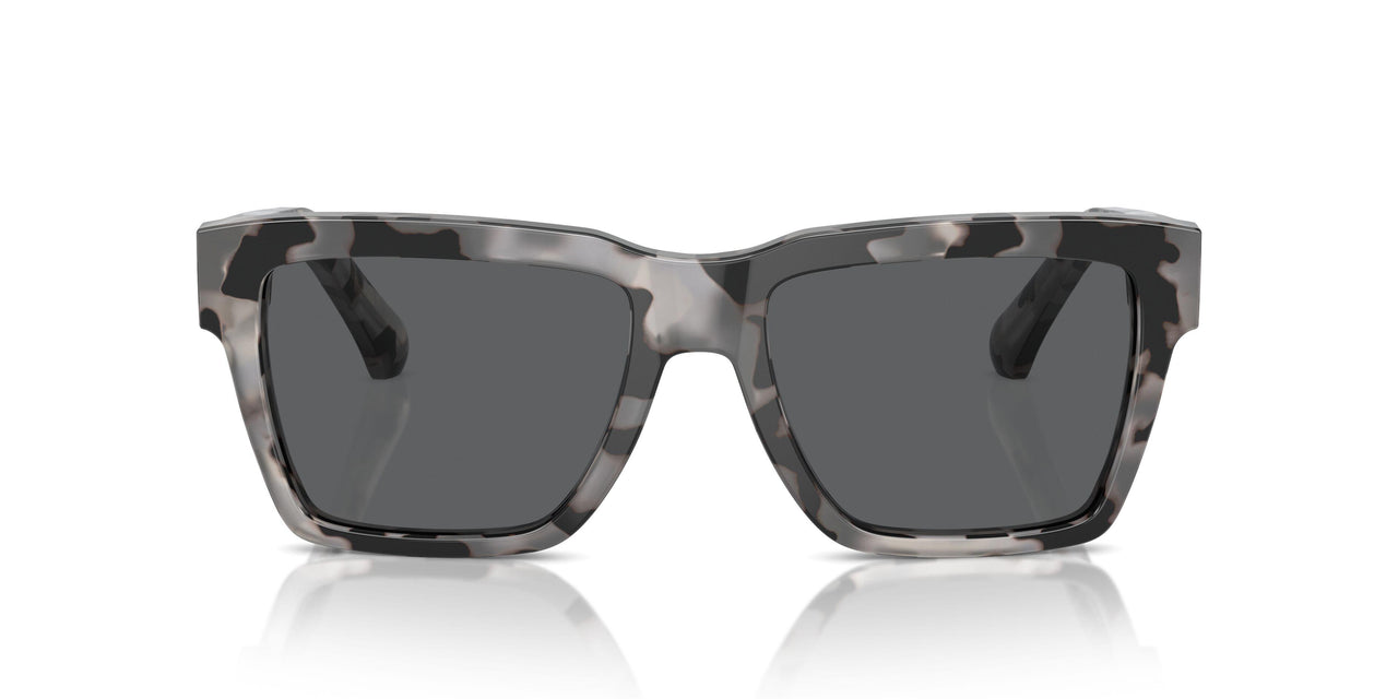 343587 - Tortoise - Dark Grey