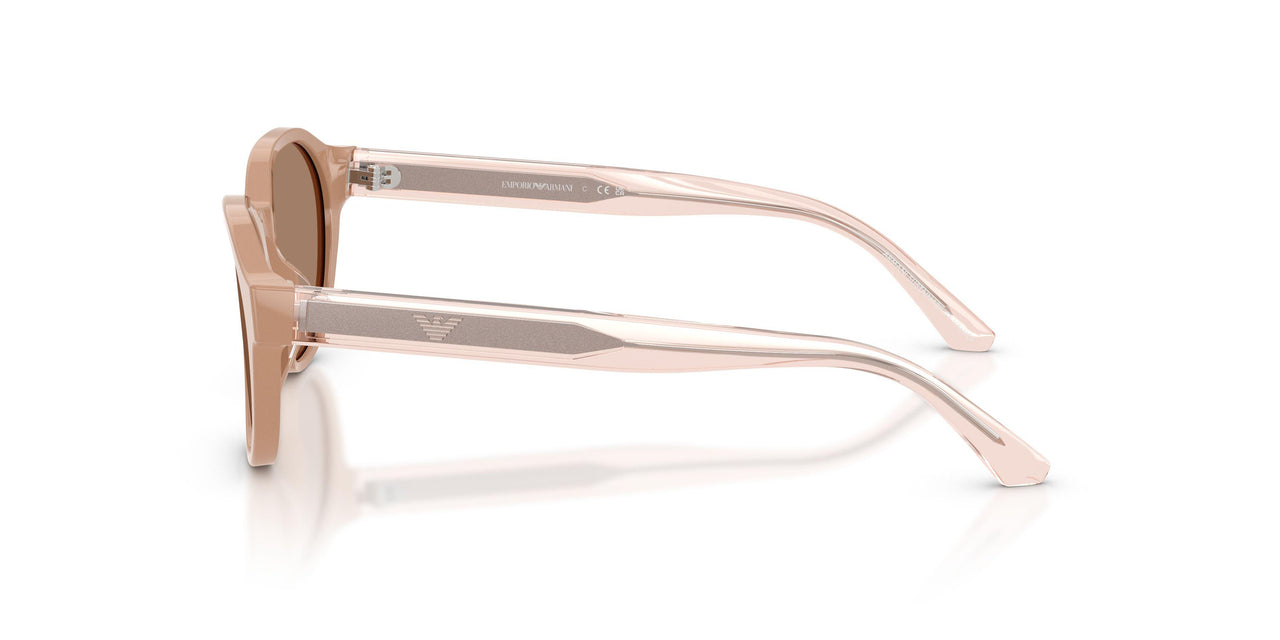 638473 - Brown - Dark Brown