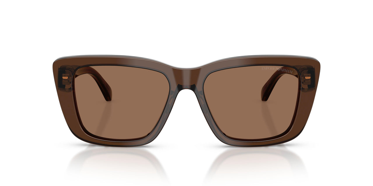 625173 - Brown - Dark Brown