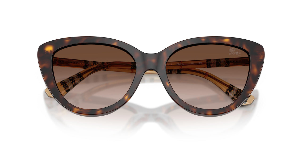 421613 - Brown - Brown Gradient