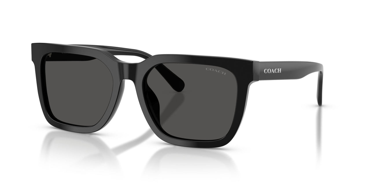 Coach Cfu12 8466U Sunglasses