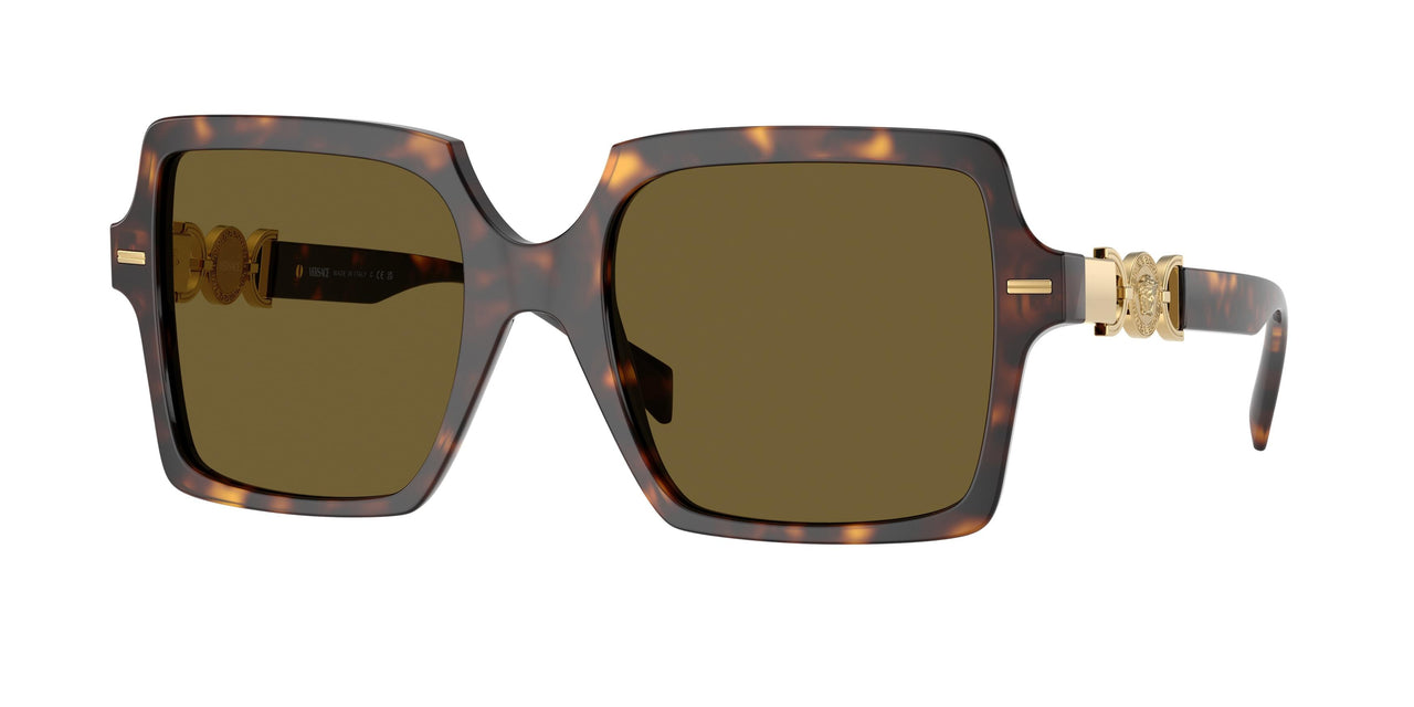 Versace 4441 Sunglasses