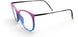 4060 - violet