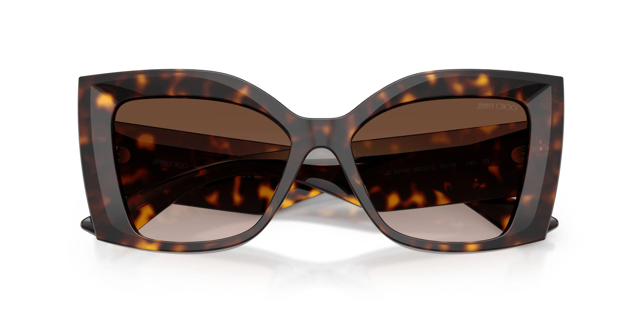 500213 - Tortoise - Brown Gradient