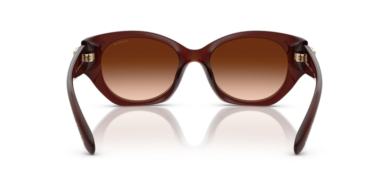 584174 - Brown - Brown Gradient