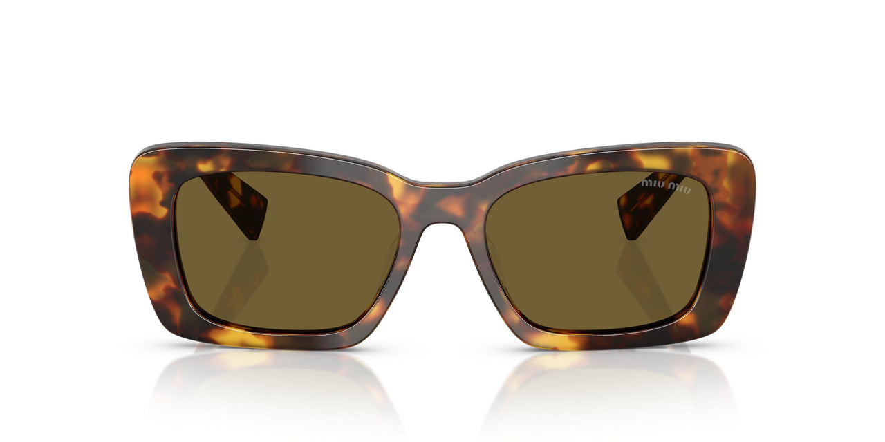 14L09Z - Tortoise - Dark Brown