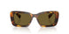 14L09Z - Tortoise - Dark Brown