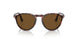 24/57 - Tortoise - Polar Brown