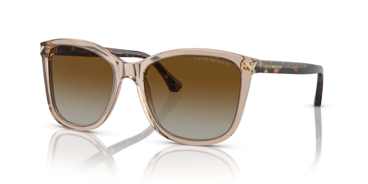 5850T5 - Brown - Gradient Brown Polar