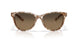 201211 - Tortoise - Copper Gradient