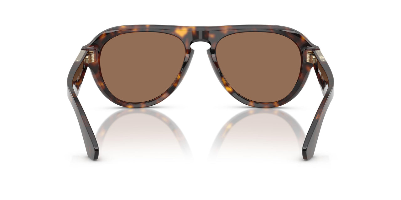 300273 - Brown - Dark Brown