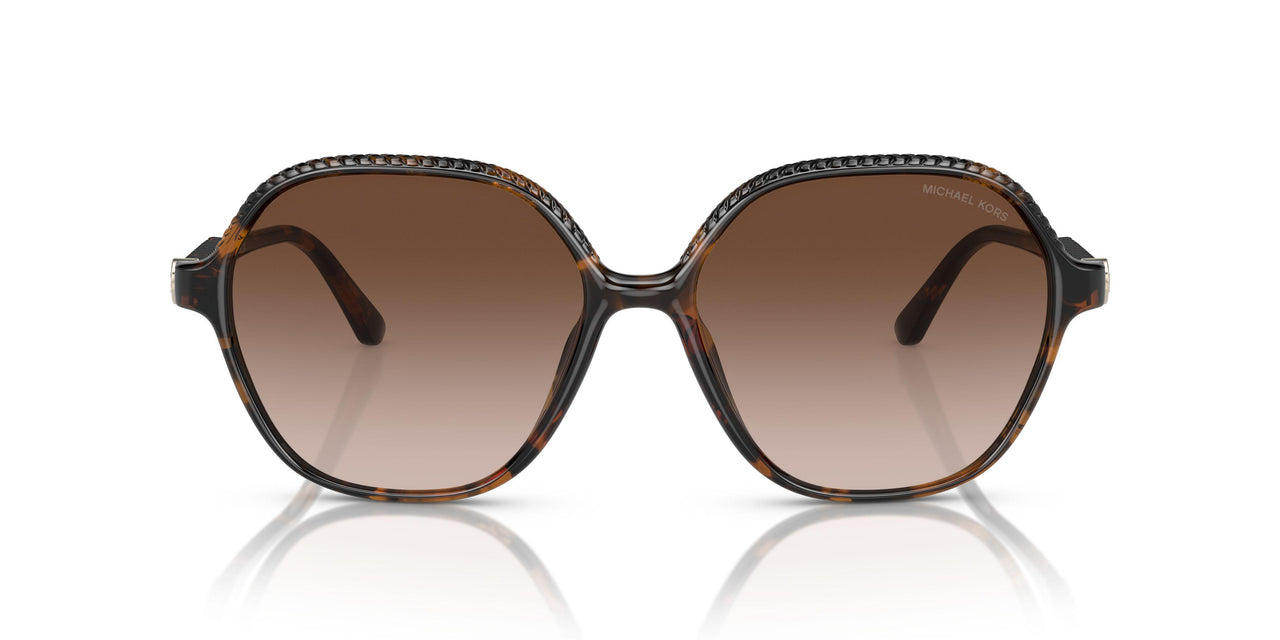 300613 - Tortoise - Brown Gradient