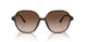 300613 - Tortoise - Brown Gradient