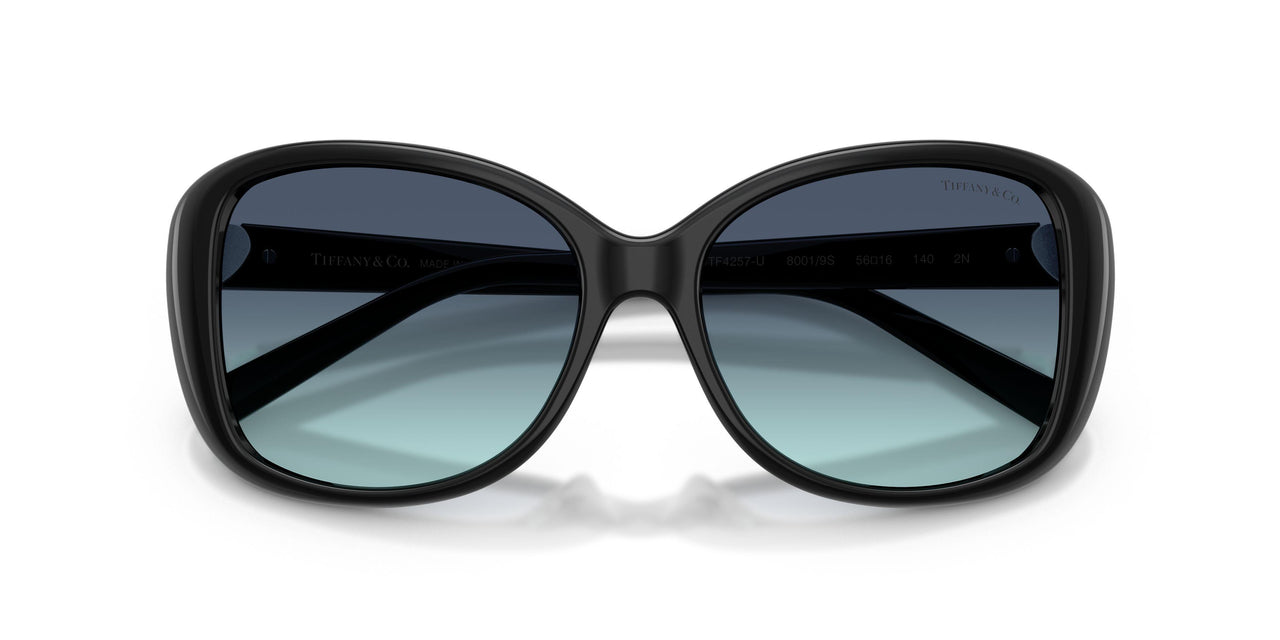 80019S - Black - Azure Gradient Blue