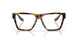 201102 - Tortoise