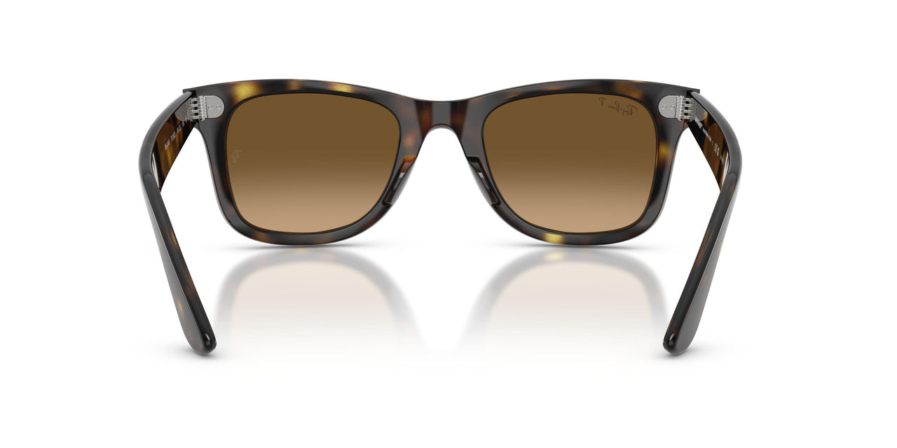 710/M2 - Tortoise - Polarized Brown Gradient