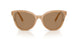 2002M4 - Beige - Brown Transition
