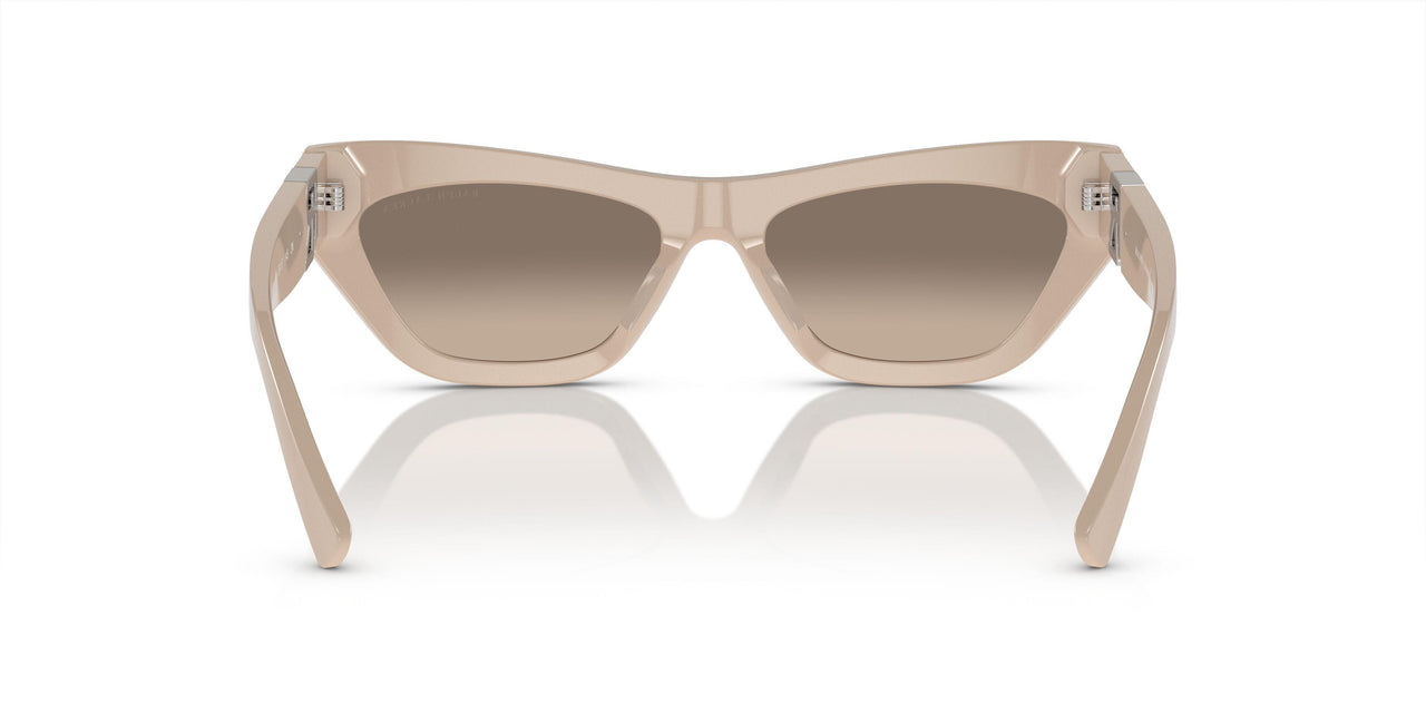 61086Y - Brown - Flash Gold