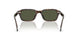 174152 - Tortoise - G-15
