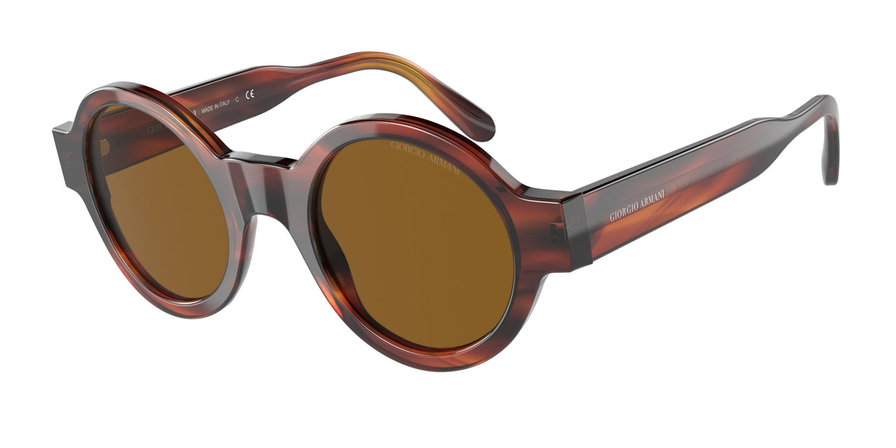 594433 - Havana - Brown