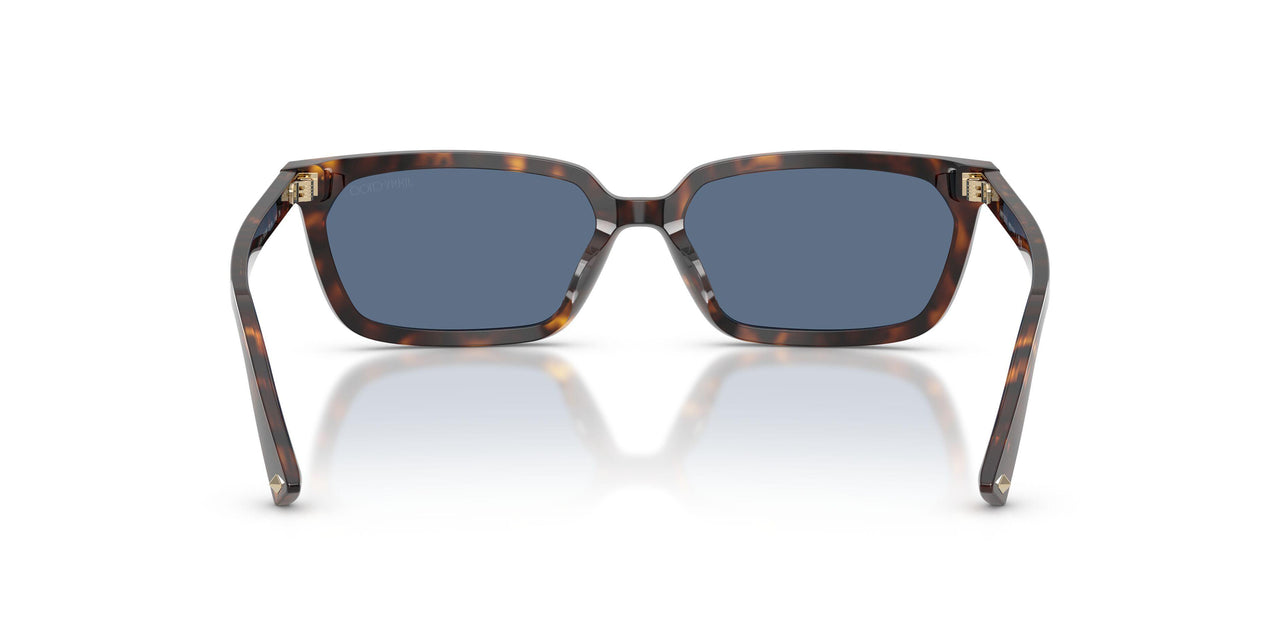 500280 - Tortoise - Blue
