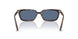 500280 - Tortoise - Blue