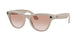 Ray-Ban Meta Skyler 4010 Sunglasses