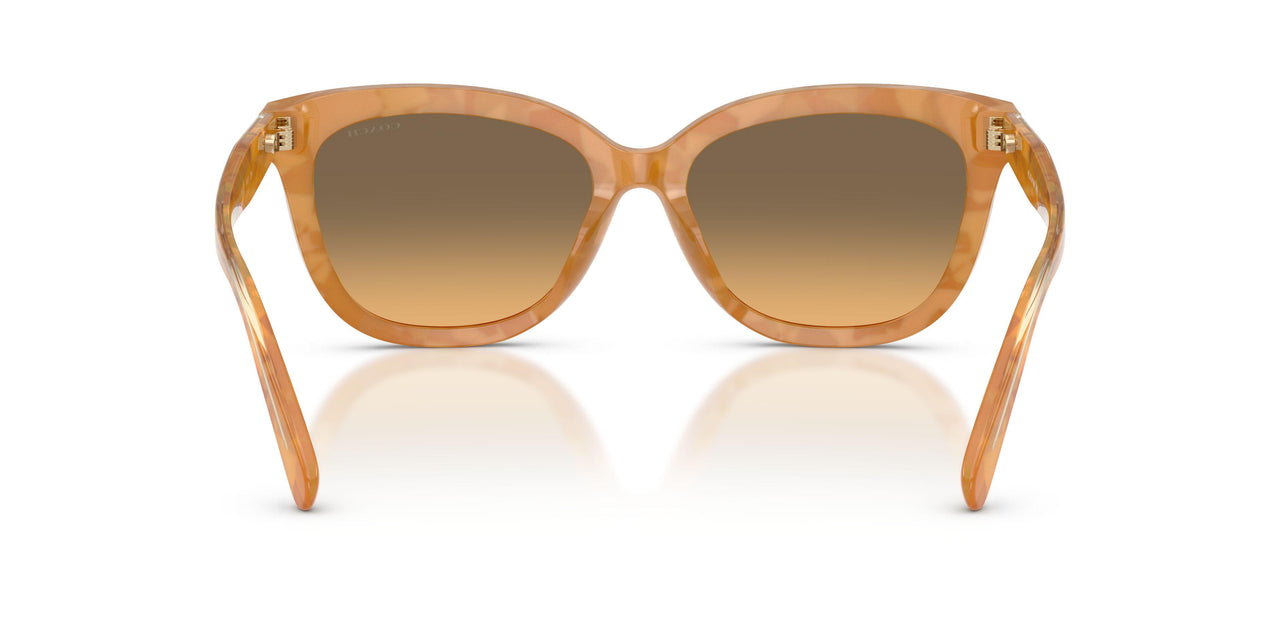593911 - Tortoise - Olive
