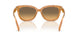 593911 - Tortoise - Olive