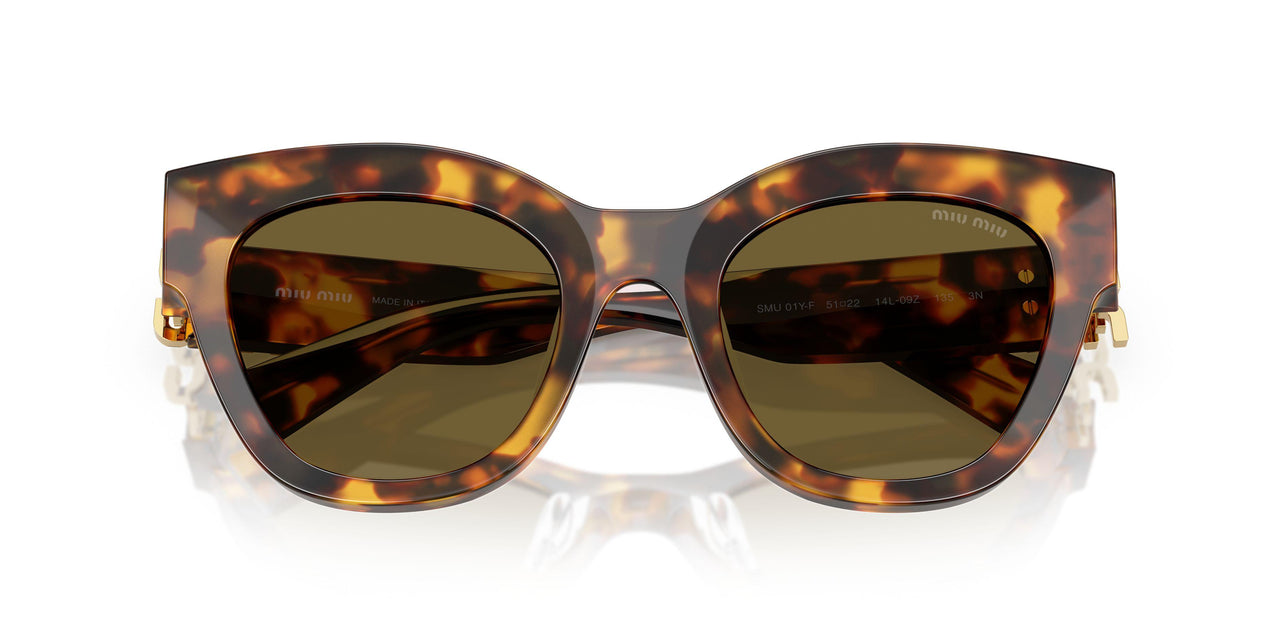 14L09Z - Tortoise - Dark Brown