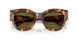 14L09Z - Tortoise - Dark Brown