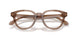 6469 - Brown
