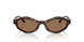 500273 - Tortoise - Dark Brown