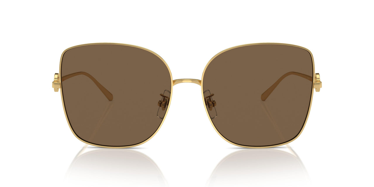 334373 - Gold - Dark Brown