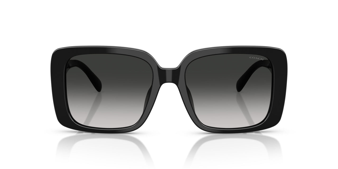 50023C - Black - Grey Gradient