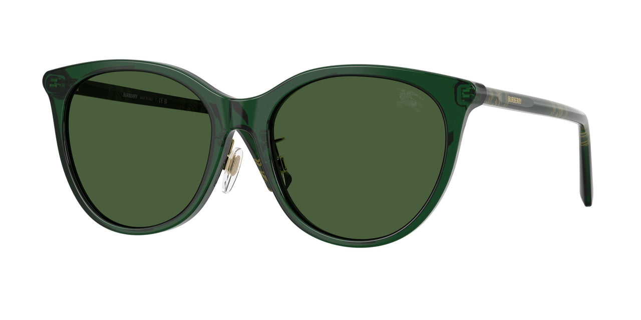 416271 - Green - Dark Green