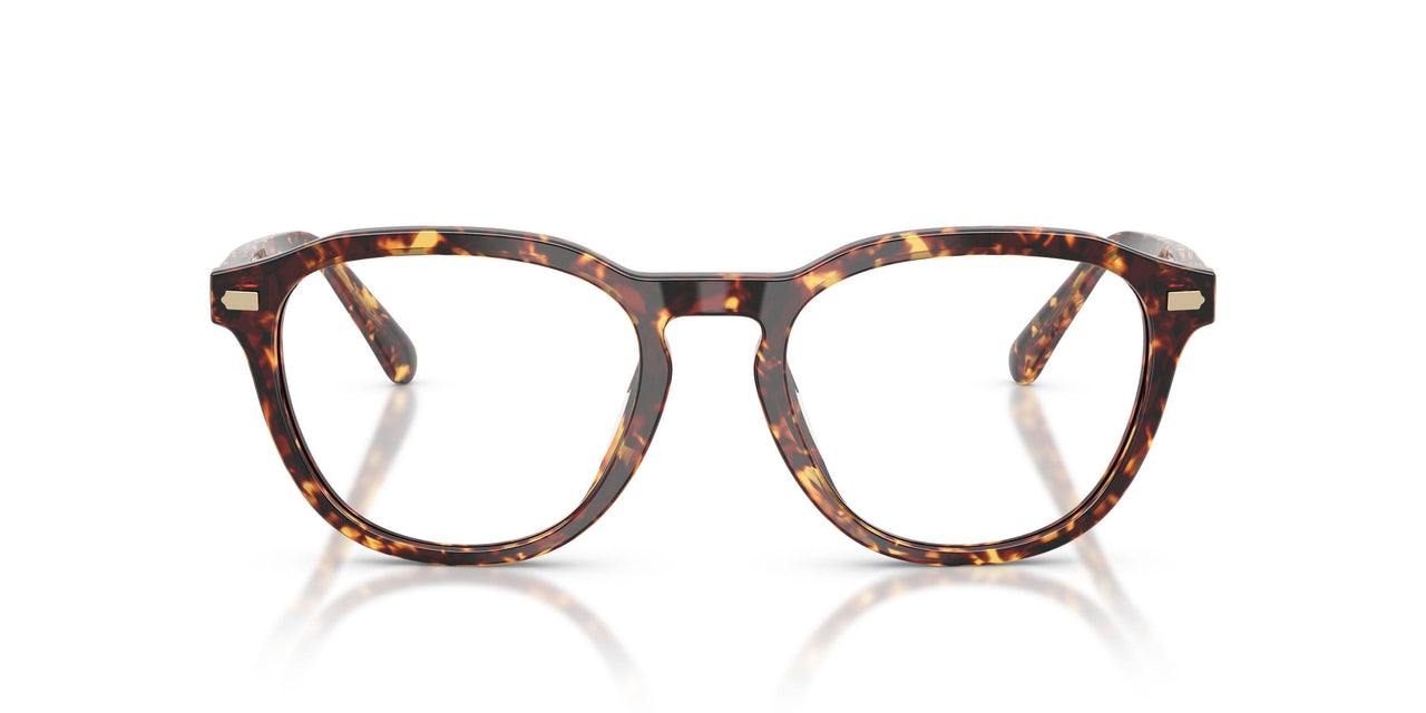 5974 - Tortoise