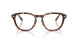 5974 - Tortoise