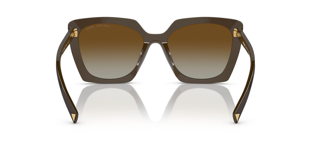 11J6E1 - Green - Polar Brown Gradient