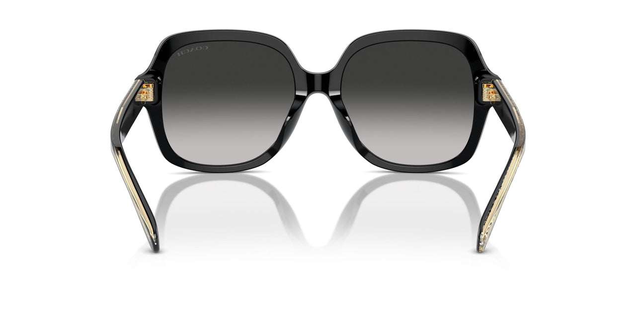 50023C - Black - Grey Gradient