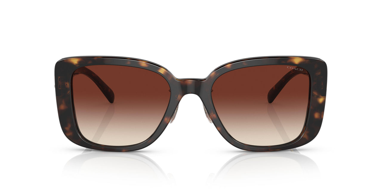 512013 - Havana - Dark Brown Gradient