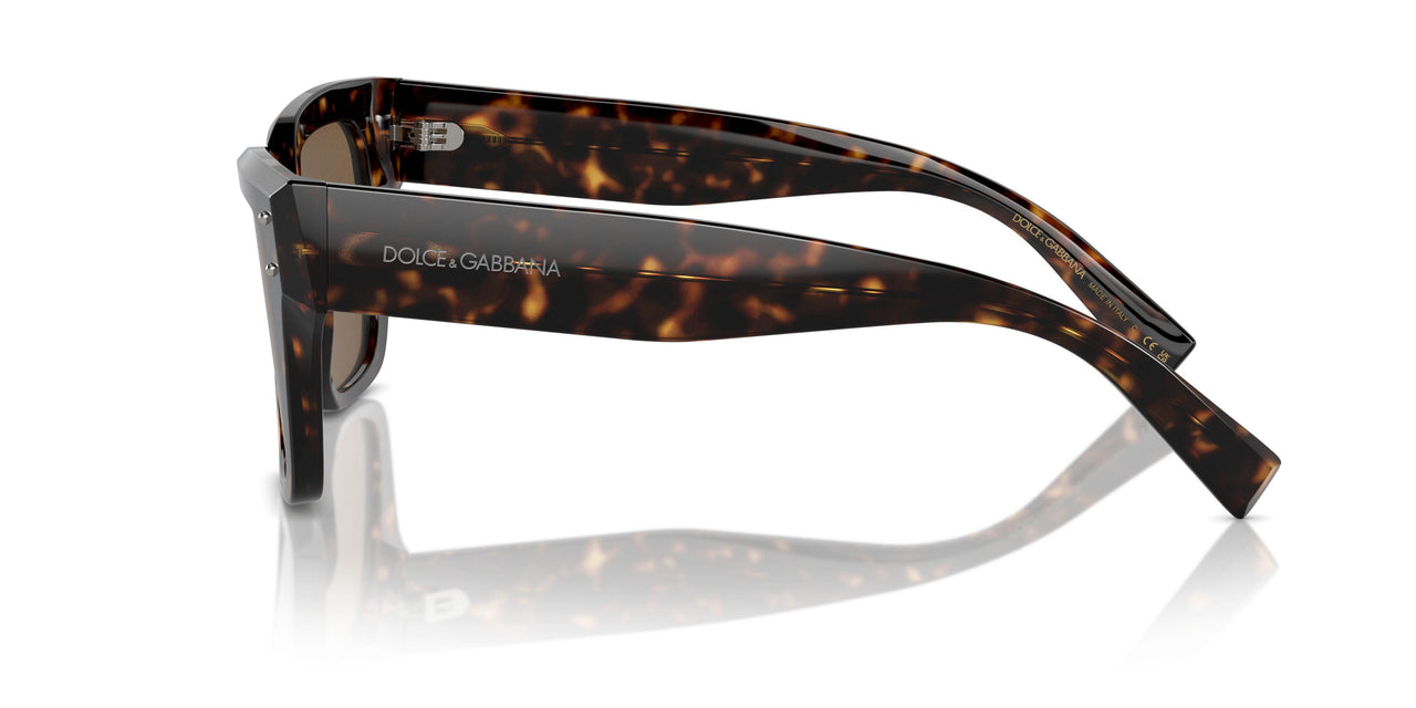 502/73 - Tortoise - Dark Brown