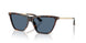 500280 - Tortoise - Dark Blue