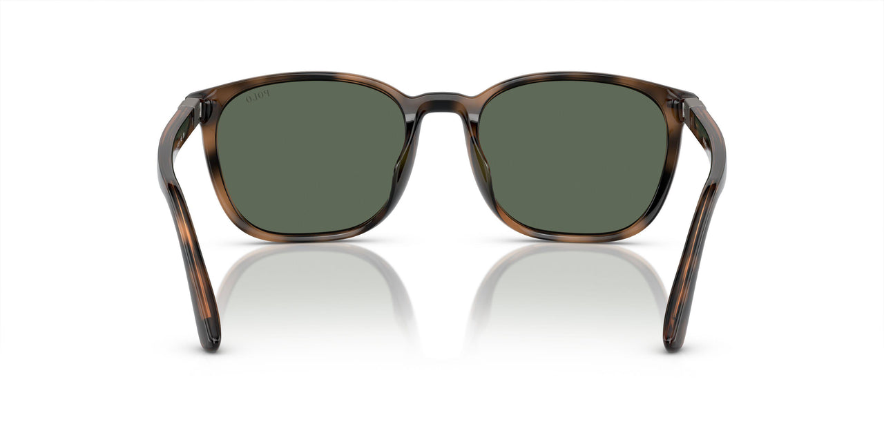597471 - Tortoise - Bottle Green