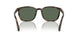 597471 - Tortoise - Bottle Green