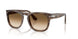 120851 - Tortoise - Gradient Brown