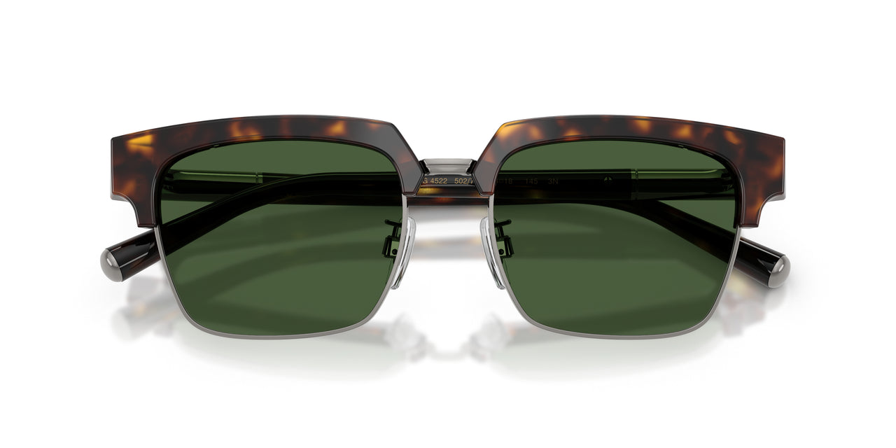 502/71 - Tortoise - Dark Green