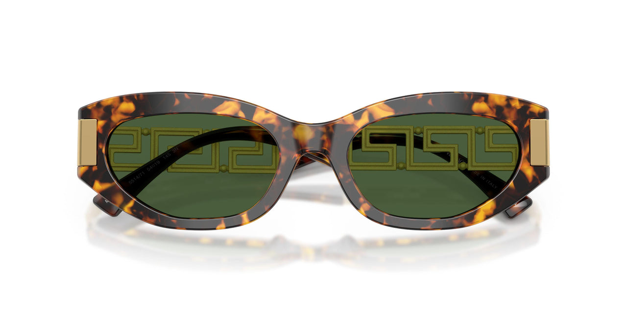 551471 - Tortoise - Dark Green